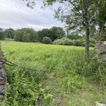 Archeological dig may delay decision on Greens Farms emergency services facility