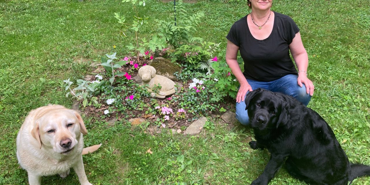 Cultivating with Kerri: creating your own memorial garden