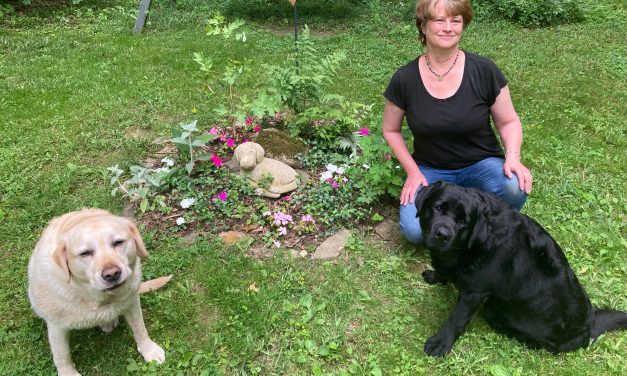 Cultivating with Kerri: creating your own memorial garden