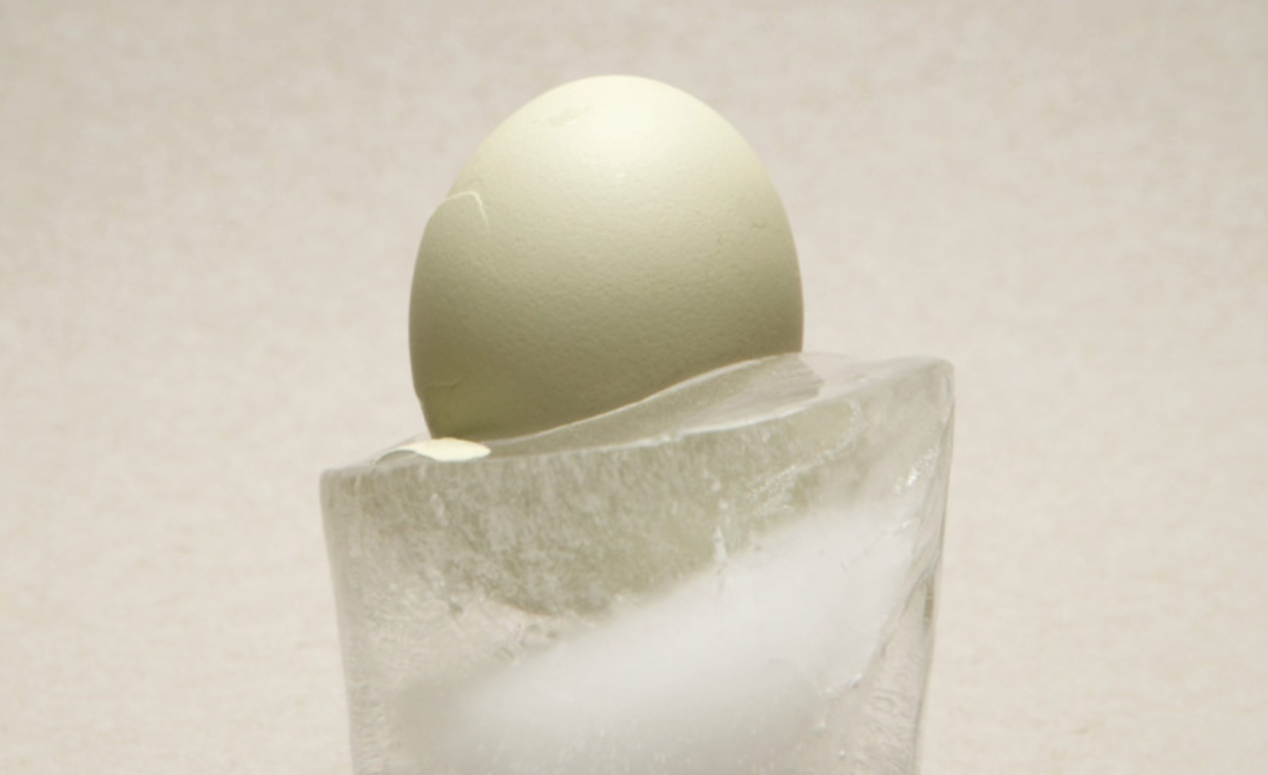 Frozen Egg by Linn Cassetta