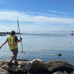 How clean is Long Island Sound?