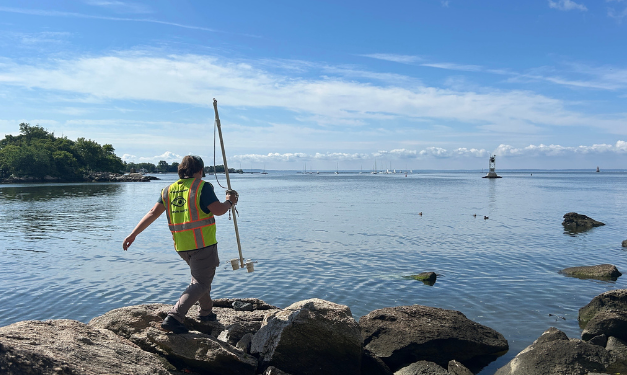How clean is Long Island Sound?