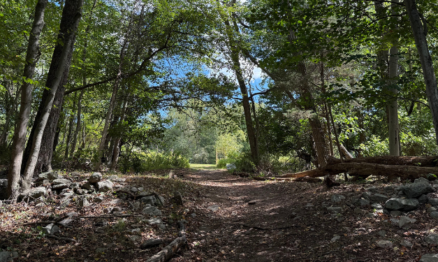 Earthplace calls: Help remove invasives, tend trails next Saturday
