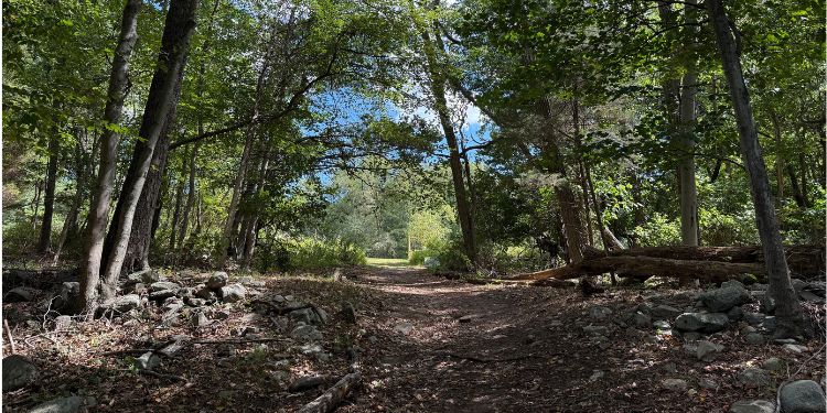 Earthplace calls: Help remove invasives, tend trails next Saturday