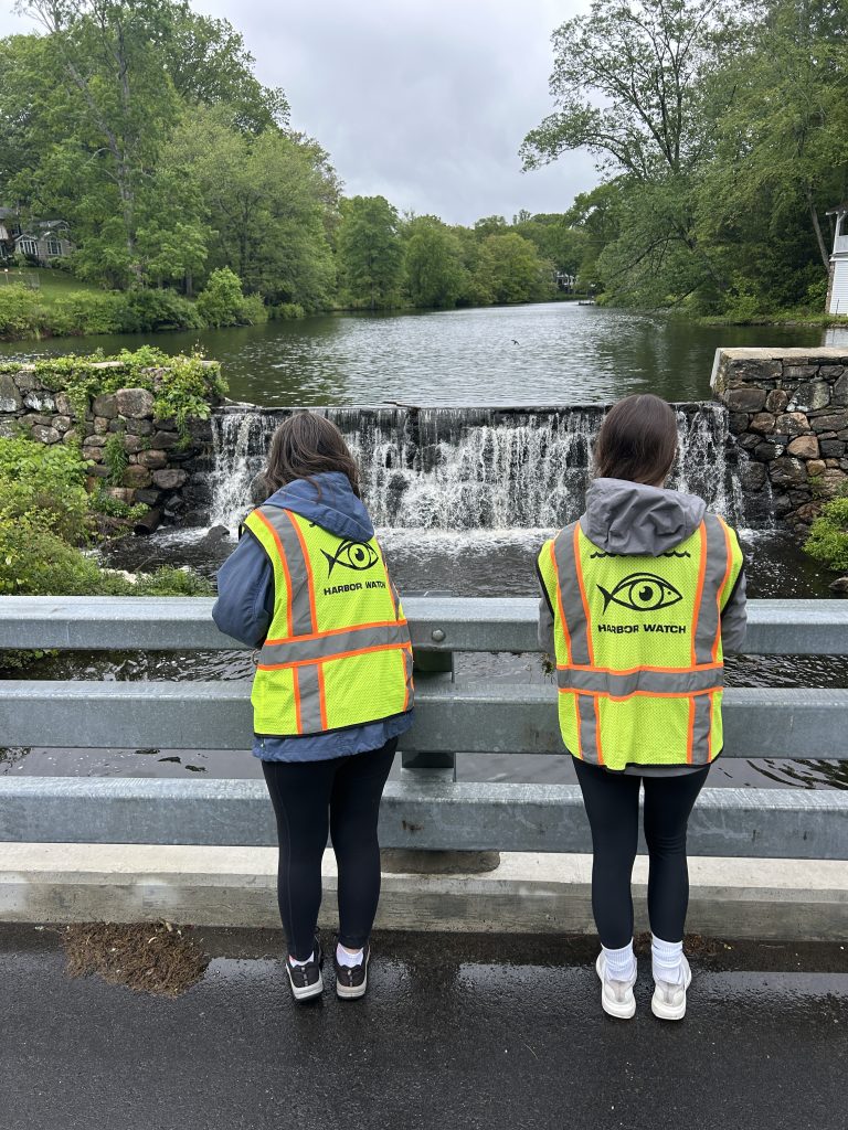 Harbor Watch interns collect data and a water sample - Contributed photo