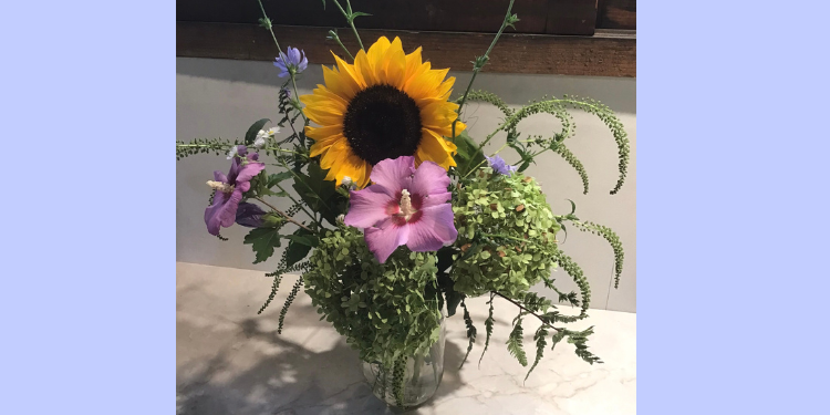Cultivating with Kerri: bringing the garden inside