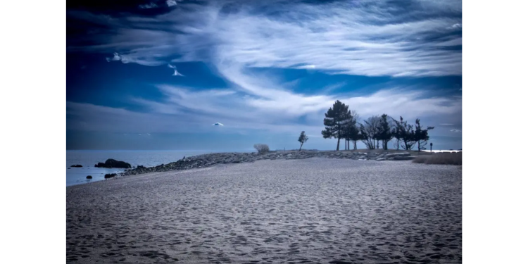 Sherwood Island: where sea, sky, and stillness meet