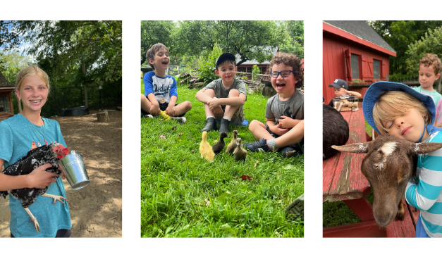 New kids’ programs at Wakeman Town Farm