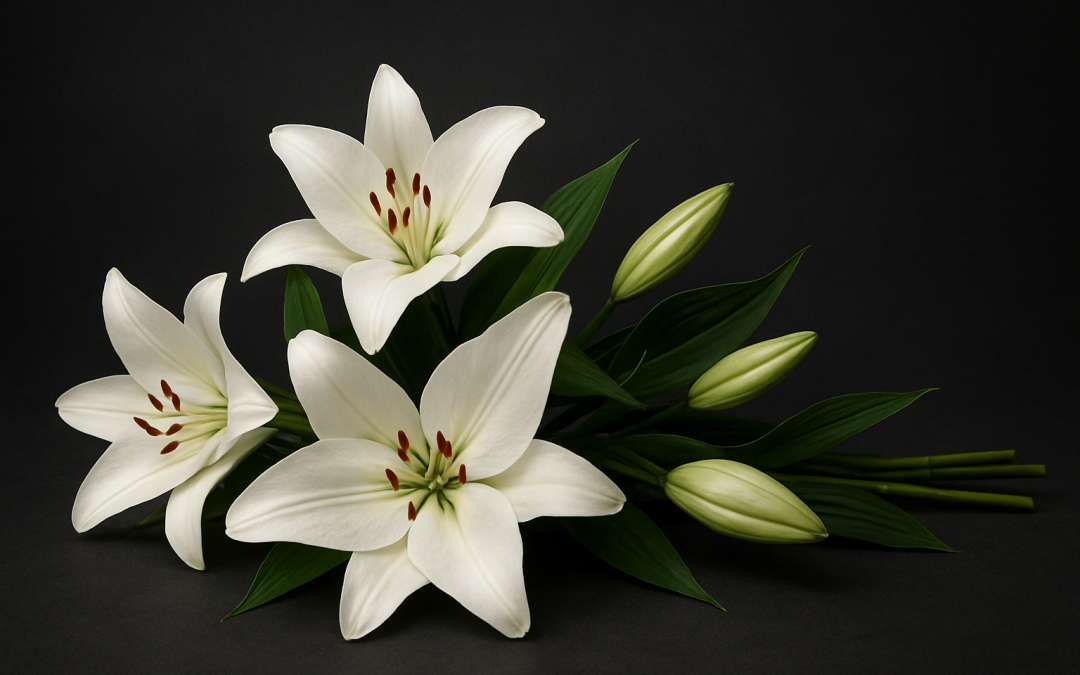 Obituary: Jeff Lavaty