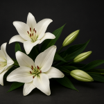 Obituary: Jeff Lavaty
