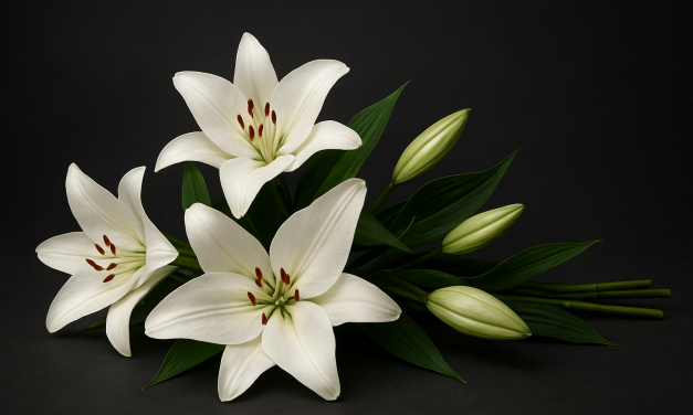 Obituary: Jeff Lavaty