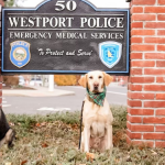 Westport K-9 unit benefits from cars and coffee tomorrow