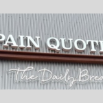 New York-based Le Pain Quotidien brings new look to Westport
