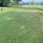 Longshore tee box repairs scheduled for November