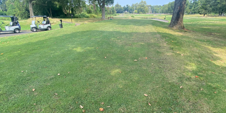 Longshore tee box repairs scheduled for November