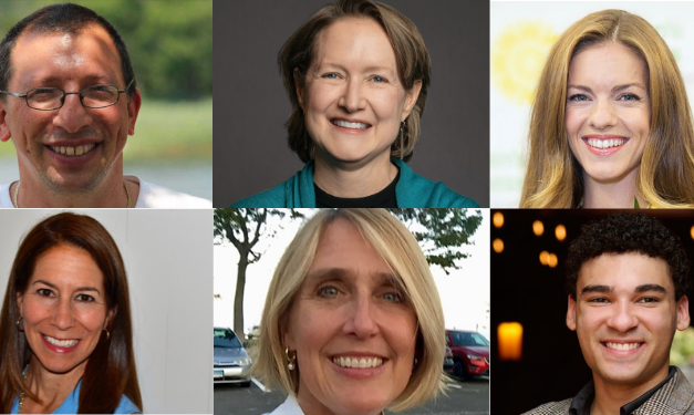 “Meet” the candidates running for RTM District 9