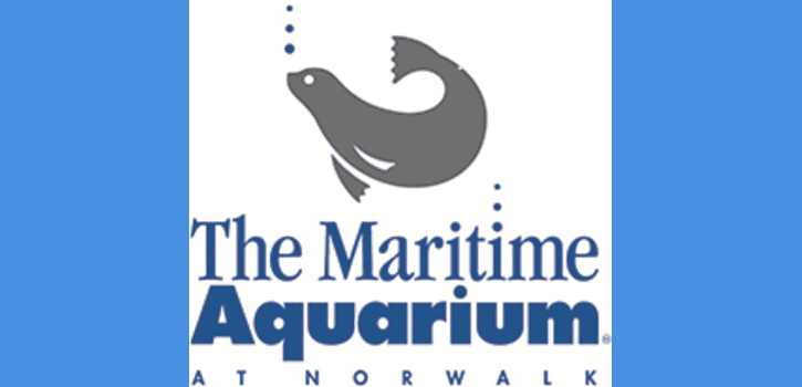 Maritime Aquarium at Norwalk accepting scholarship applications