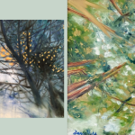 Darcy Hicks: artist reception tomorrow