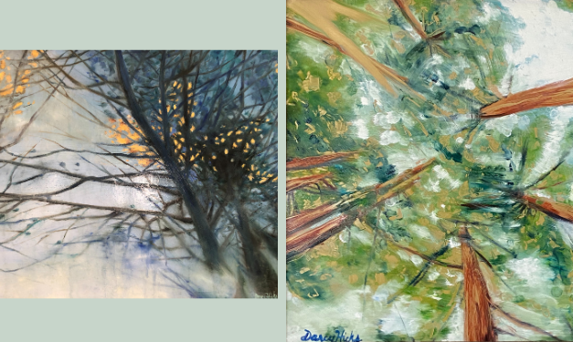 Darcy Hicks: artist reception tomorrow