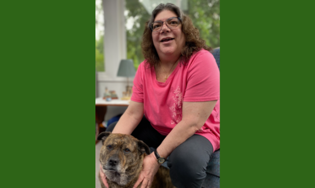 Obituary: Julie Ann Parillo
