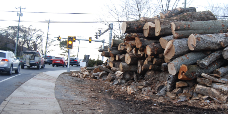 Logs no more! P&Z approves PRE office building, hears Aquarion app