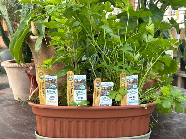 A selection of herbs can be a nice holiday gift - Contributed photo