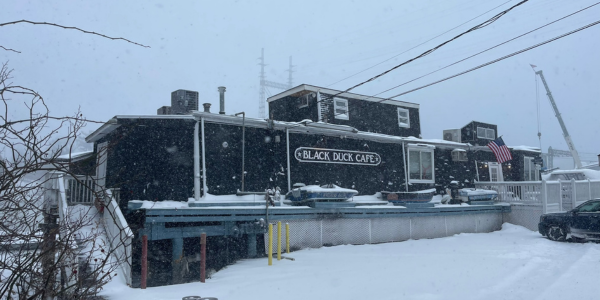 Black Duck Cafe, Jan. 25, 2026 - Photo Pamela Einarsen