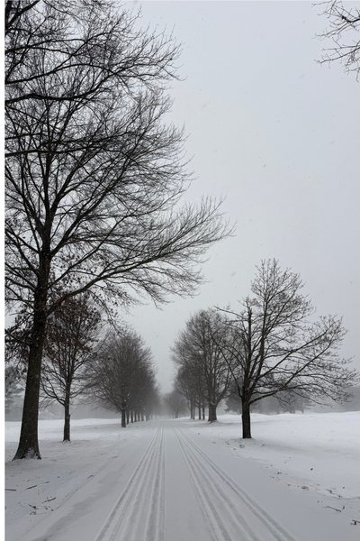 Julian Brodie Road, Jan 25, 2026 - Photo Jimmy Izzo
