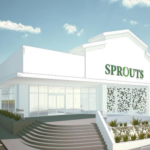 P&Z considers Sprouts, Bluepoint Wellness relocation