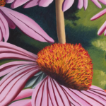 “Floral Exhibitions” opening at Greenwich Arts Council’s Bendheim Gallery