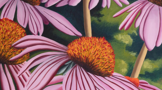 “Floral Exhibitions” opening at Greenwich Arts Council’s Bendheim Gallery