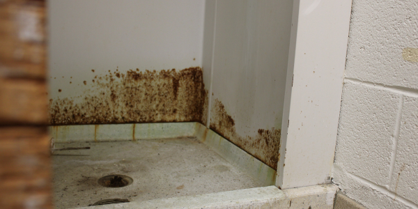 A girls' shower stall at Staples - Photo Kasey Feeley