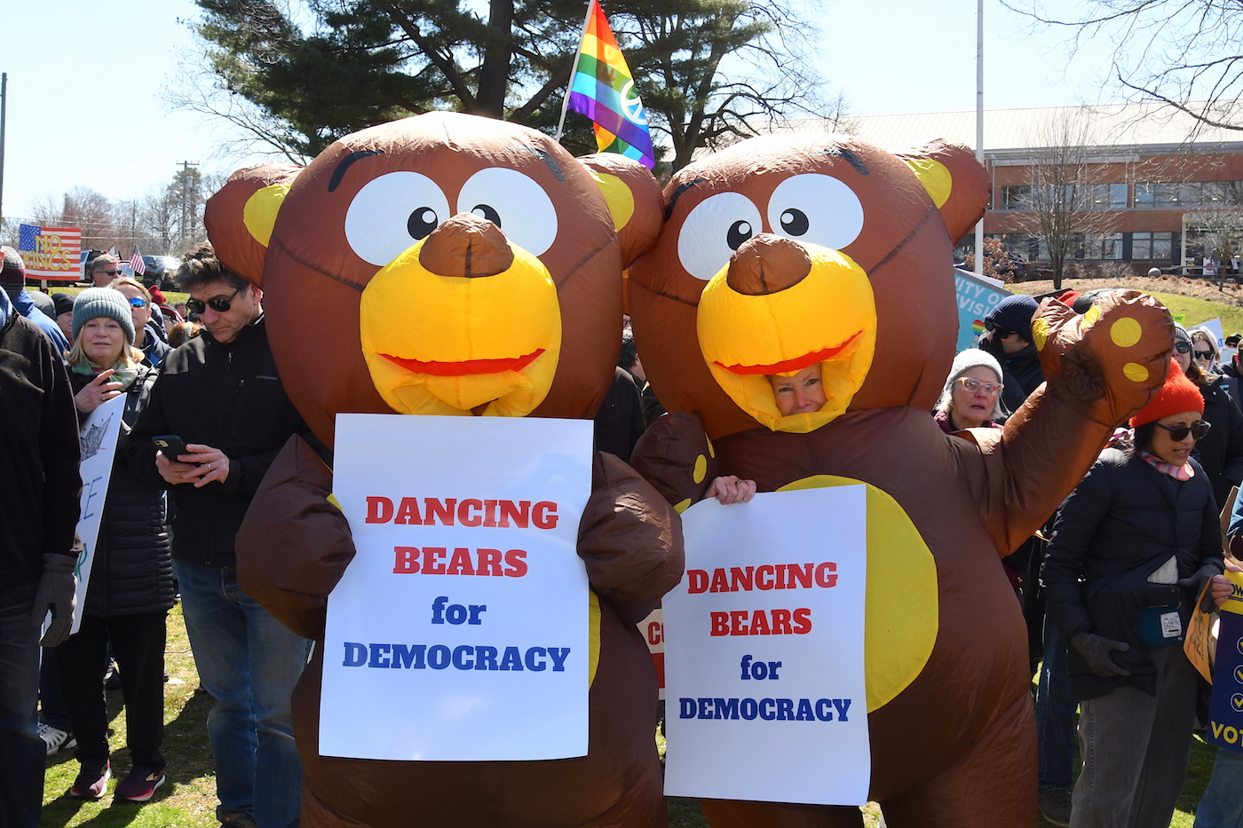 A pair of bears
