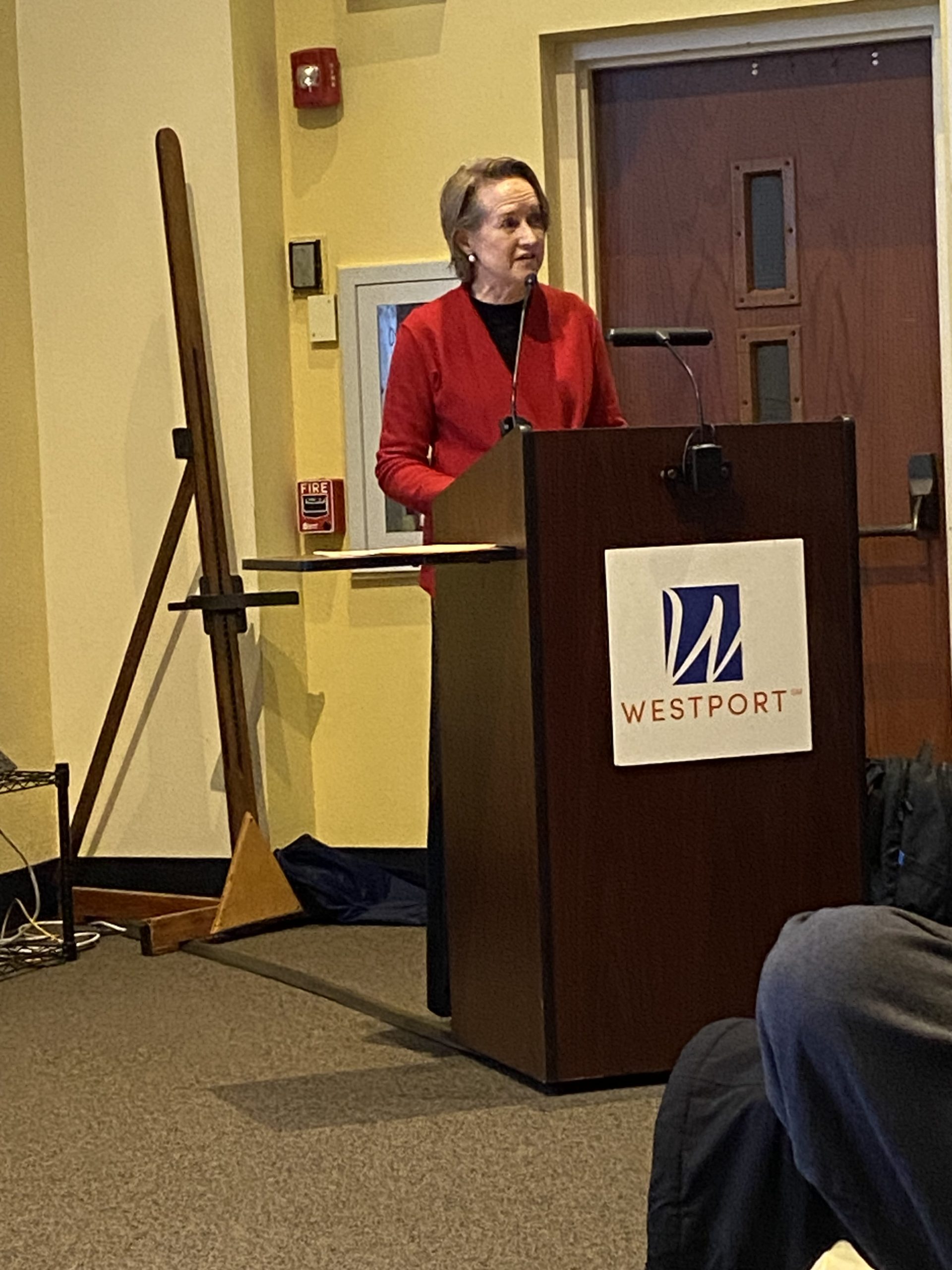 Kristen Schneemann leads the public comments, from the lectern