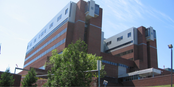 Norwalk Hospital’s new elective PCI program brings advanced cardiac care closer to Westport