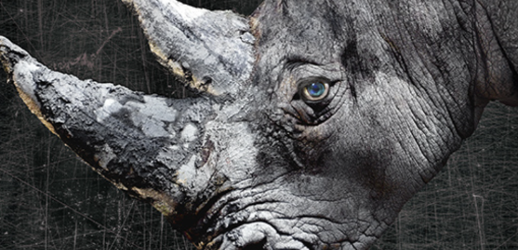 Yale Repertory Theatre begins “Rhinoceros” this week