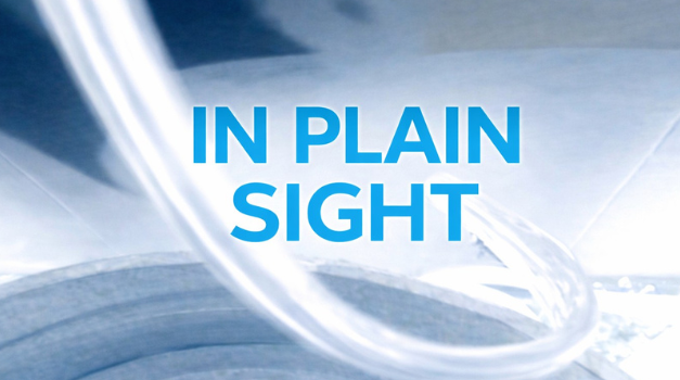 “In Plain Sight” now on view at Greenwich Art Society