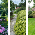 Cultivating with Kerri: Prospect Gardens