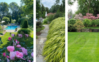 Cultivating with Kerri: Prospect Gardens