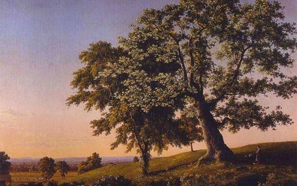 Cultivating with Kerri: Arbor Day with the White Oak