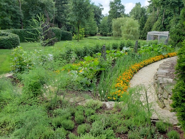 Vegetable garden