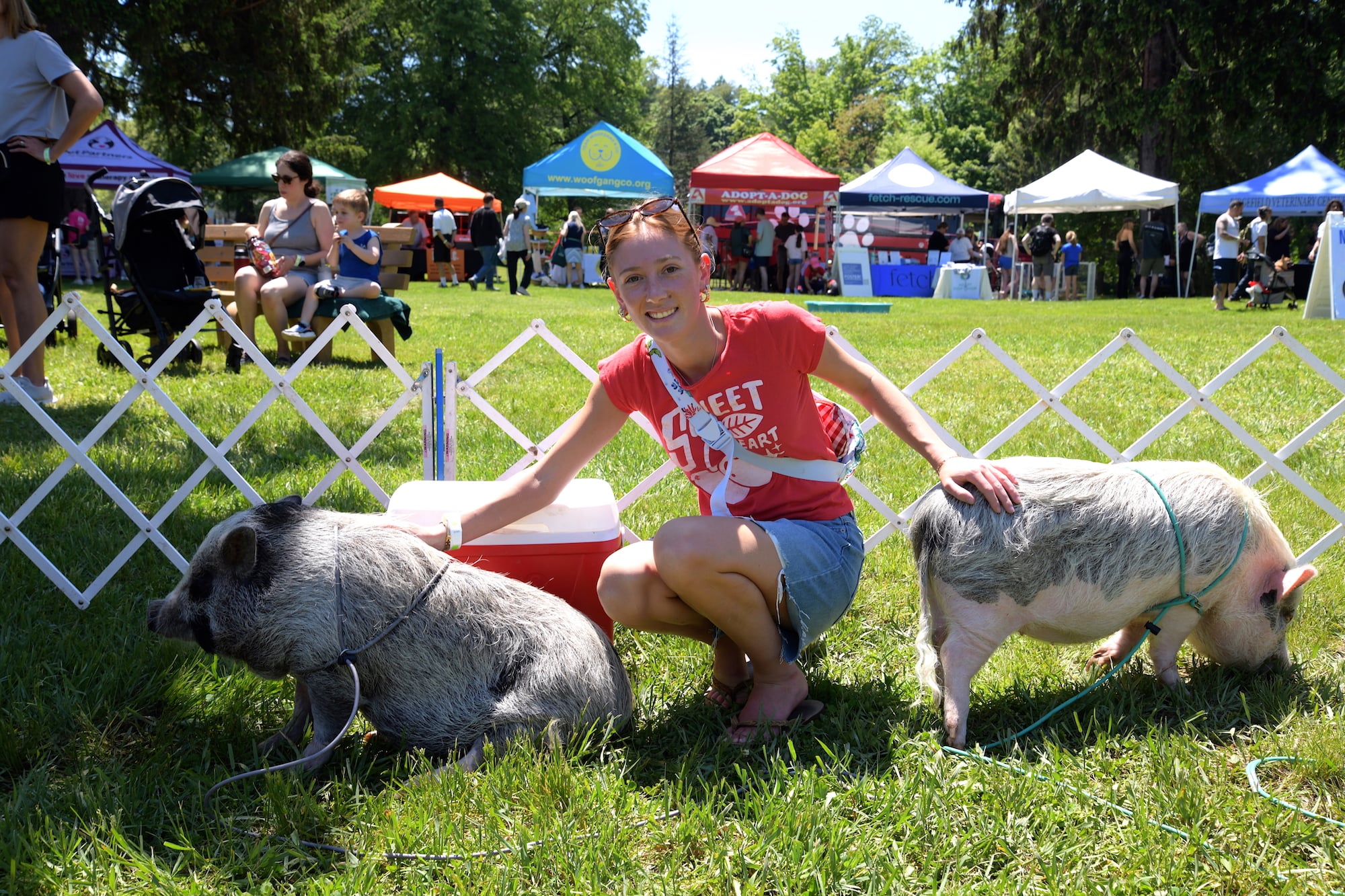 Lily Koerner of Rowayton with the Party Pigs
