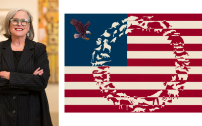 Fairfield U invites Westport Journal readers to exclusive art tour