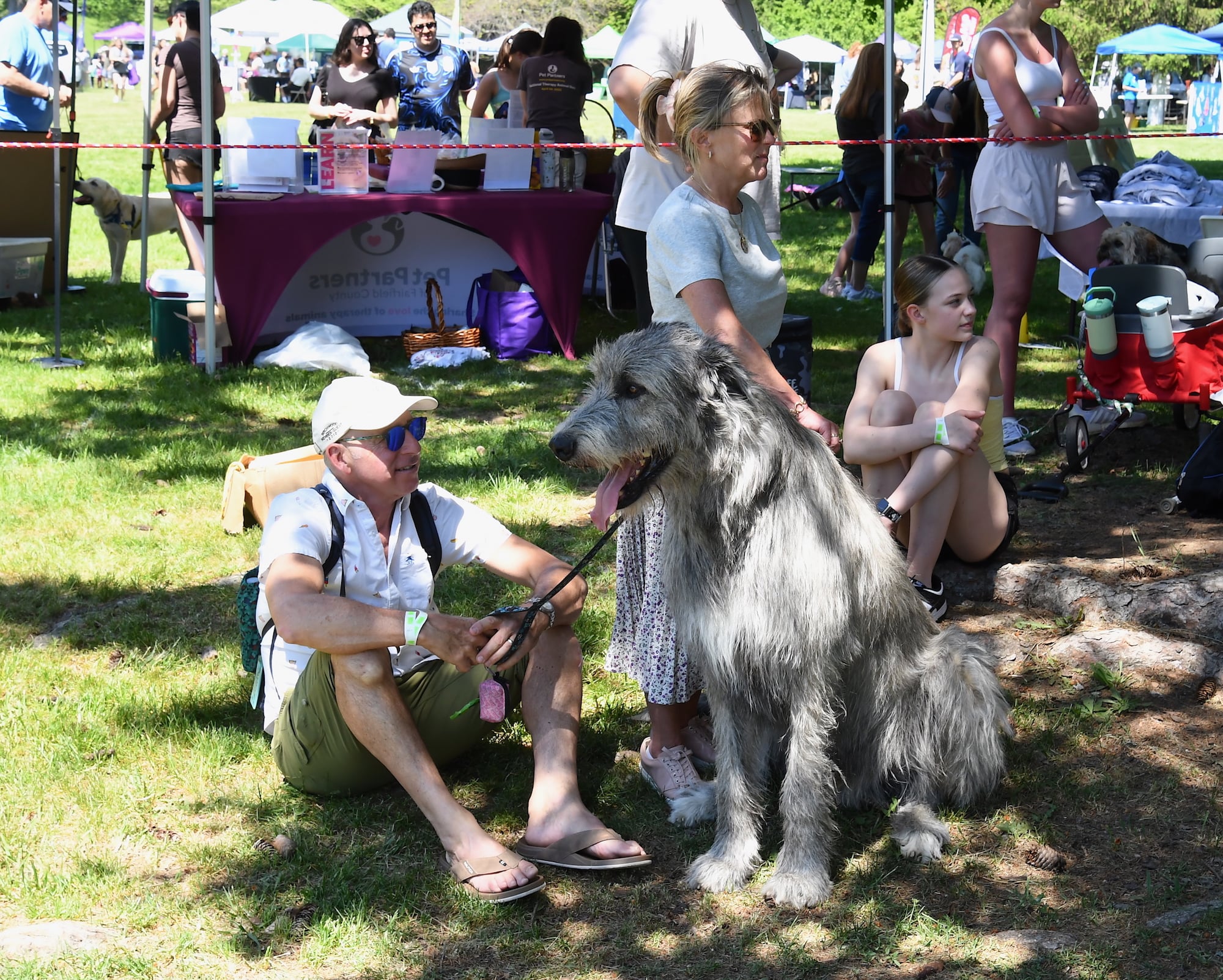 Rebeca and Paddy Jarit of Trumbull with their Irish Wolfhound, Jameson
