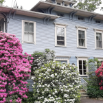 WTF + Blau House host rhododendron lecture + tour May 17