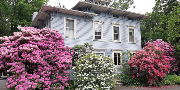 WTF + Blau House host rhododendron lecture + tour May 17