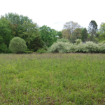 “West Parish” site may receive improvements through private funding