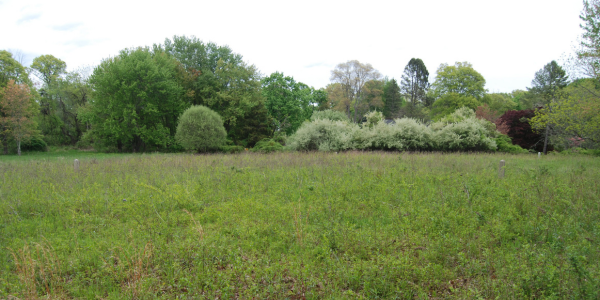 “West Parish” site may receive improvements through private funding