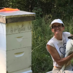 Presentation to offer tips on home beekeeping