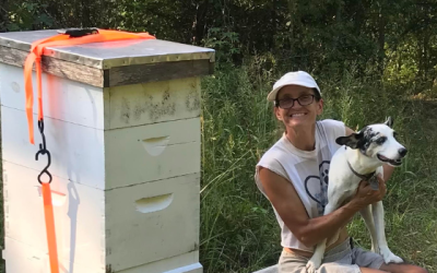 Presentation to offer tips on home beekeeping